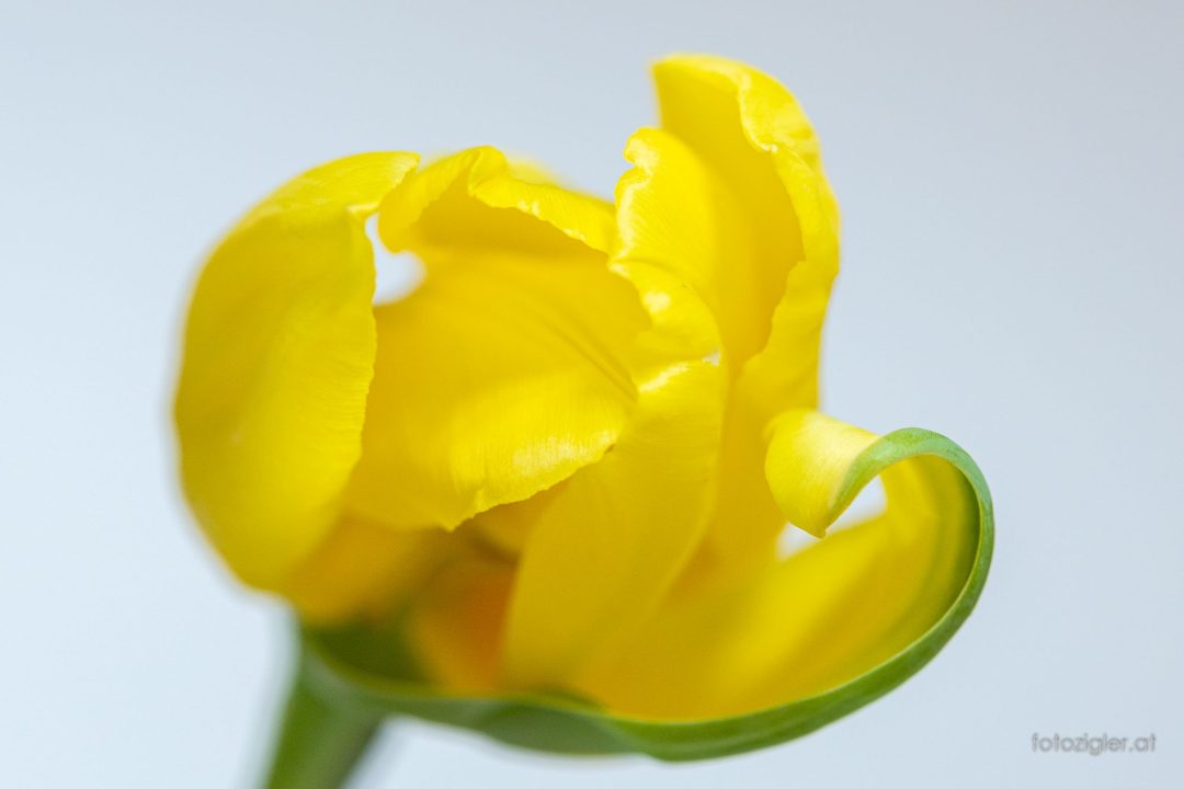 Martin_Zigler_20210502_MZig_14372_EOS R-3