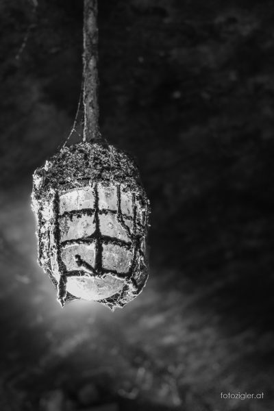 Martin_Zigler_20210908_MZig_21353_EOS R6