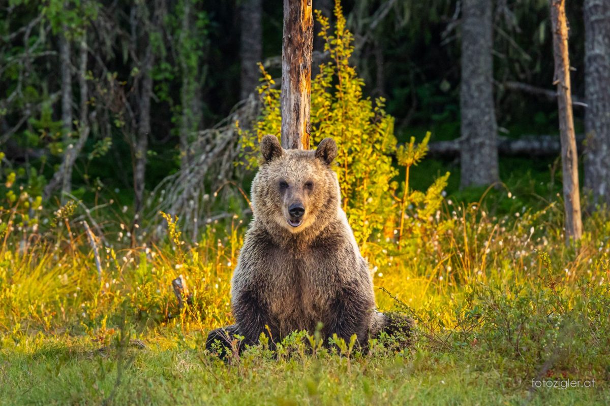Martin_Zigler_20250728_MZig_88474_EOS R6