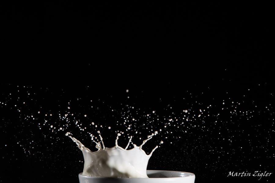 Highspeed_Milch